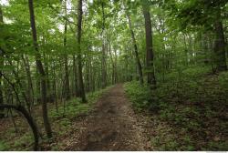 Background Forests